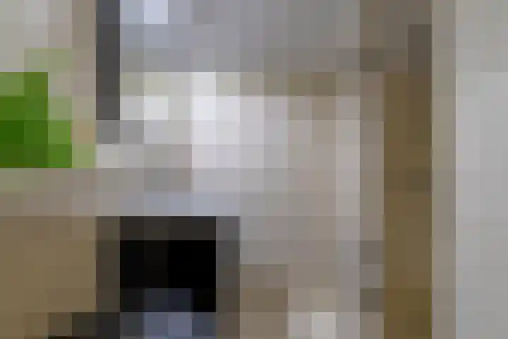 Kerkewijk 87 D Veenendaal thumbnail 31