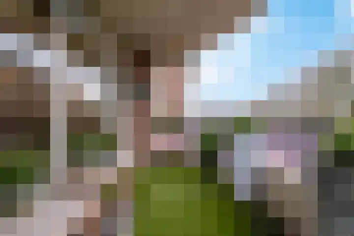 Kerkewijk 87 D Veenendaal thumbnail 4