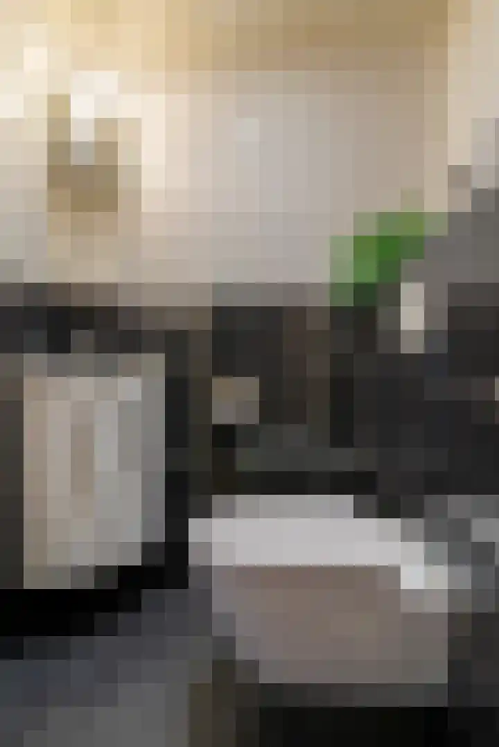 Kerkewijk 87 D Veenendaal thumbnail 7