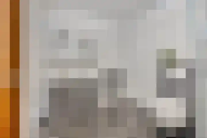 Kerkewijk 87 Veenendaal thumbnail 26