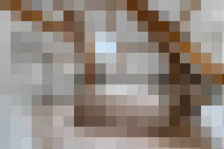 Kerkewijk 94 Veenendaal thumbnail 44