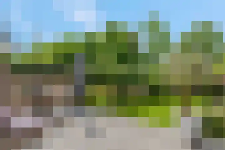 Kerkewijk 94 Veenendaal thumbnail 47