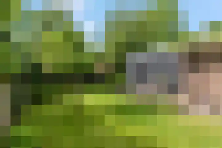 Kerkewijk 94 Veenendaal thumbnail 52