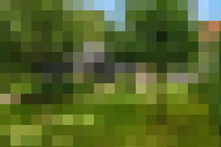 Kerkewijk 94 Veenendaal thumbnail 53