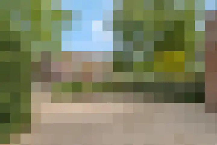 Kerkewijk 94 Veenendaal thumbnail 8