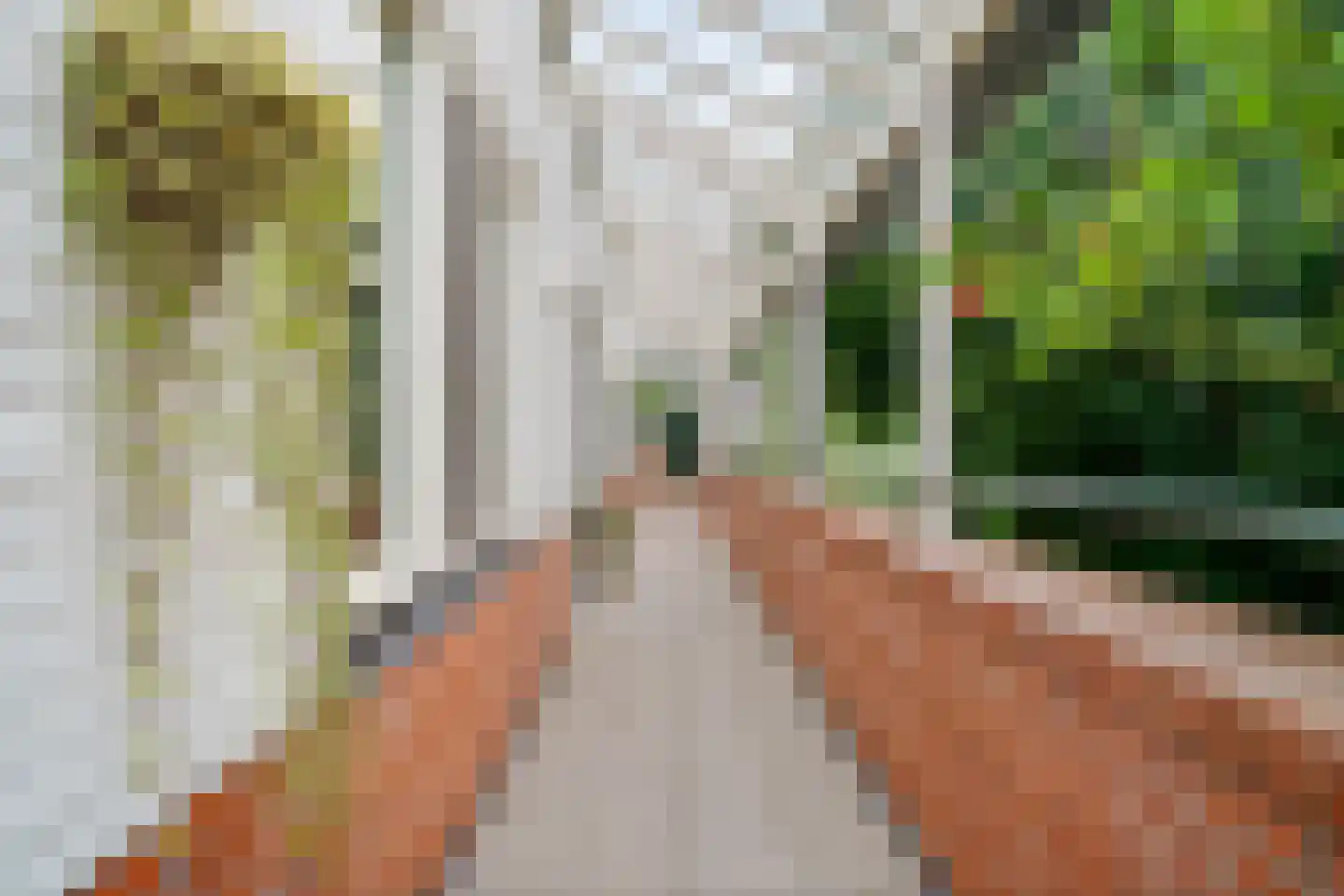 Kerkgaarde 13 Abcoude thumbnail 20