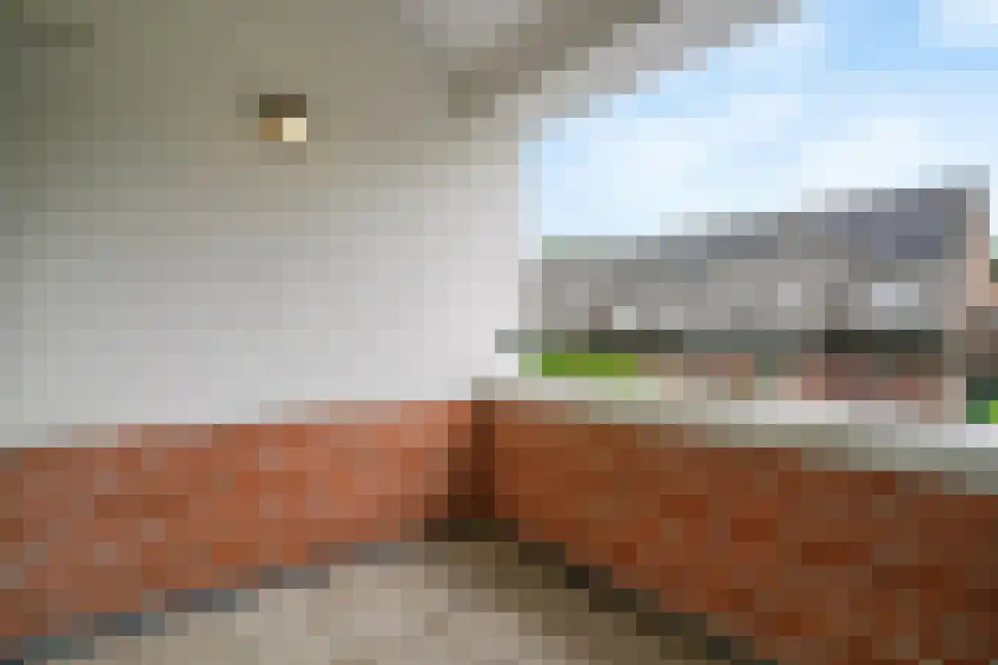 Kerkgaarde 13 Abcoude thumbnail 6