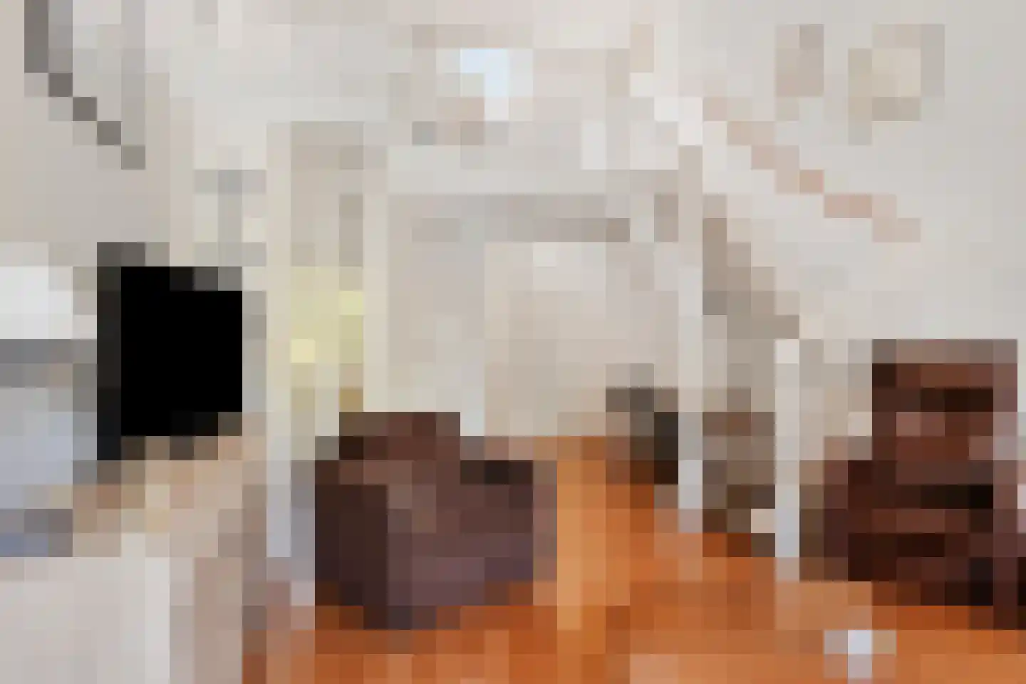 Kerkgaarde 14 Abcoude thumbnail 8