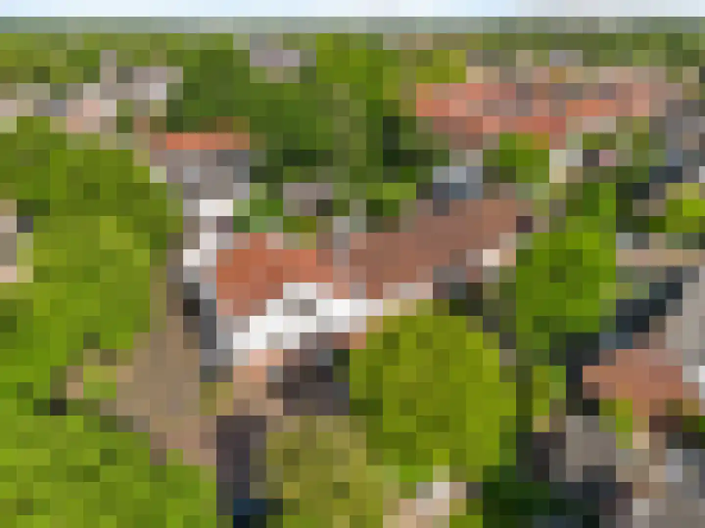 Kerkgaarde 27 Abcoude thumbnail 26