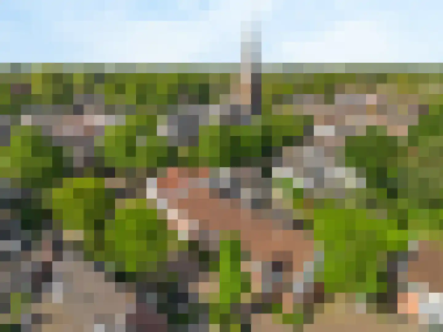 Kerkgaarde 27 Abcoude thumbnail 27
