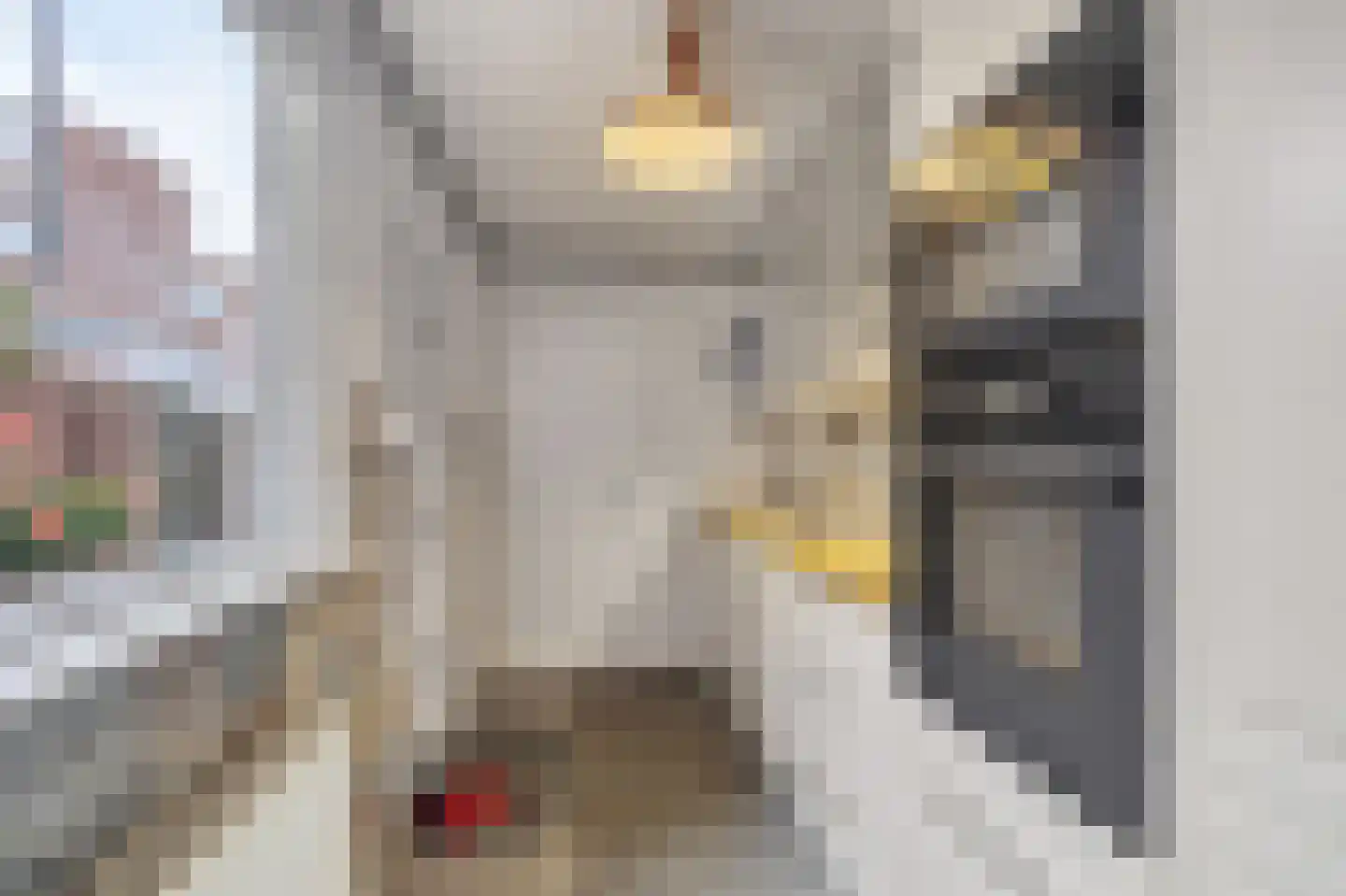 Kerkgracht 23 Den Helder thumbnail 11