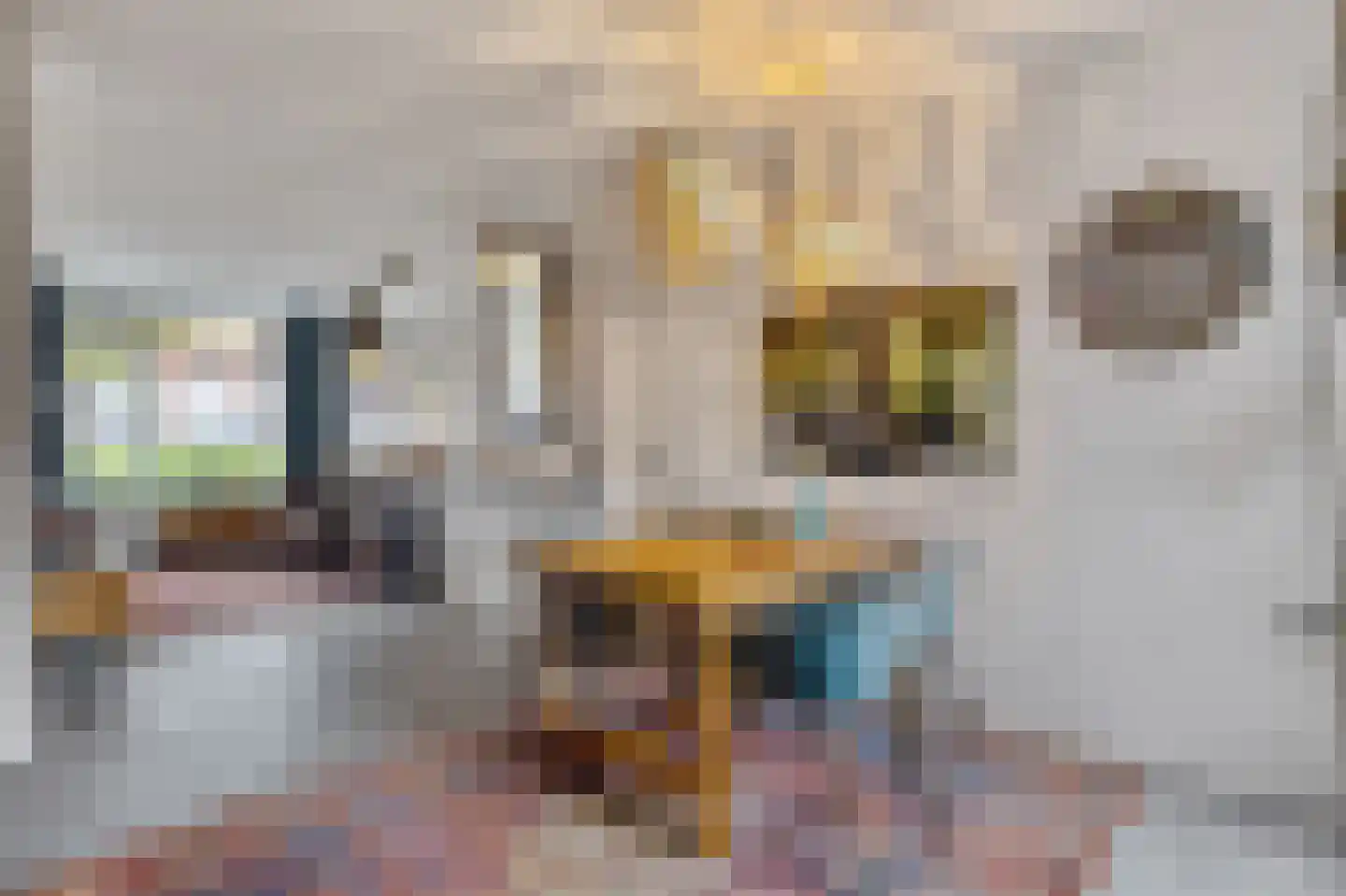 Kerkgracht 23 Den Helder thumbnail 9