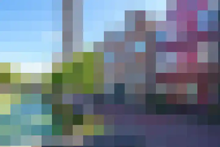 Kerkgracht 50 Almere thumbnail 7