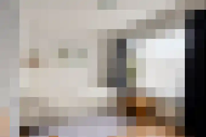 Kerkhoef 5 Nuenen thumbnail 28