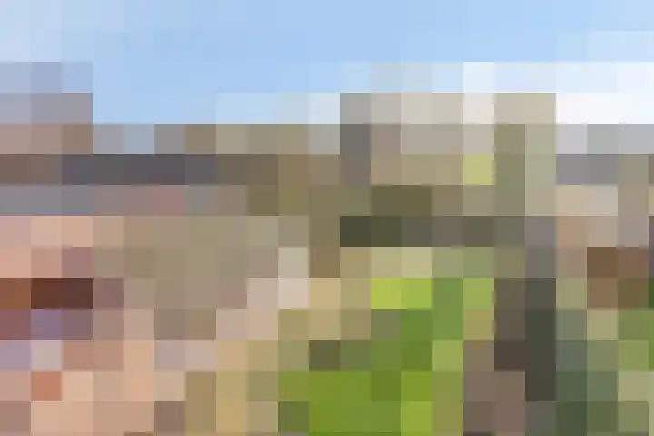 Kerkhoef 5 Nuenen thumbnail 38