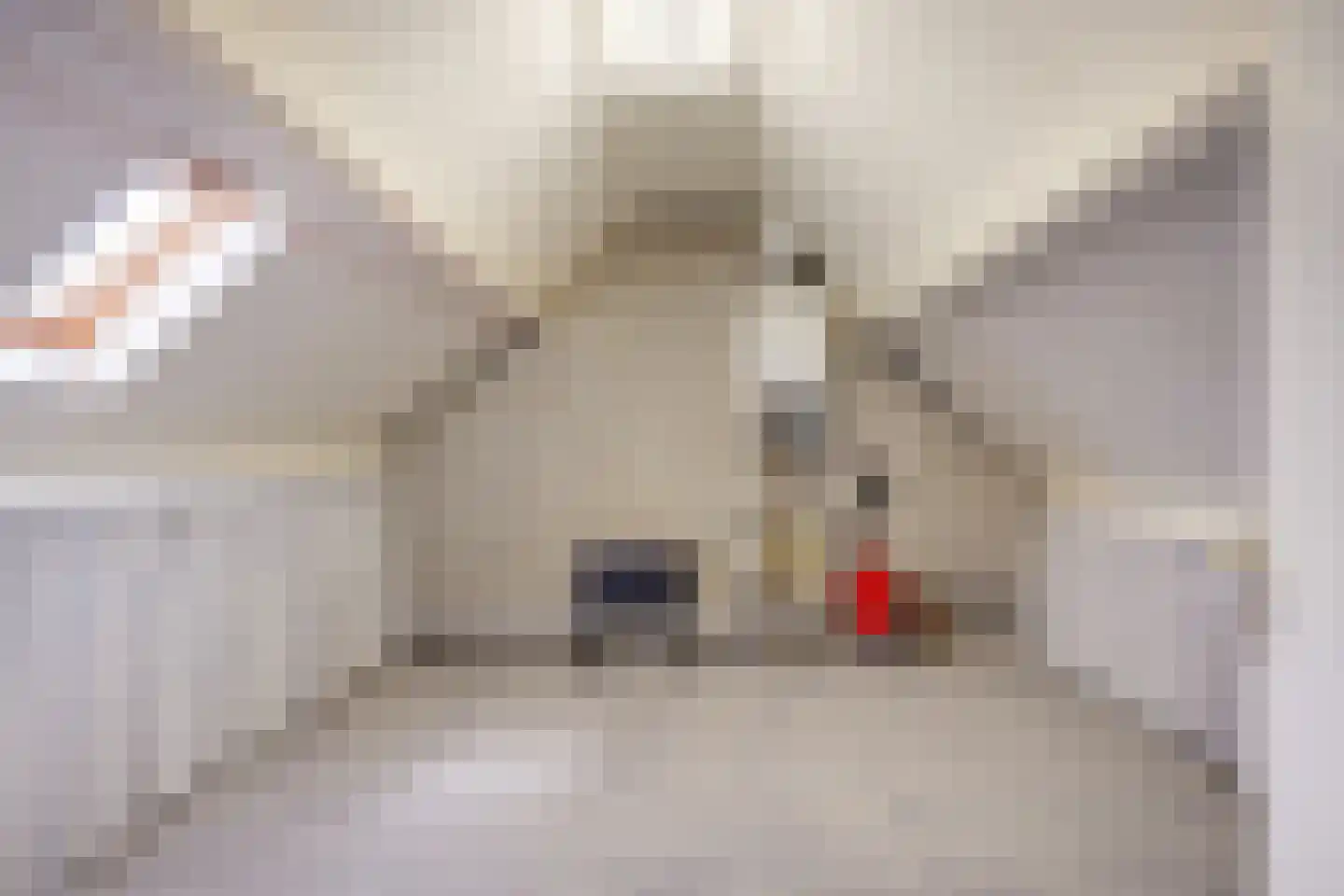 Kerkhoefweg 12 Veghel thumbnail 32
