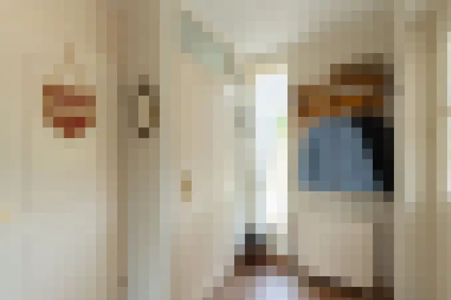 Kerkhoek 8 Ouddorp thumbnail 17