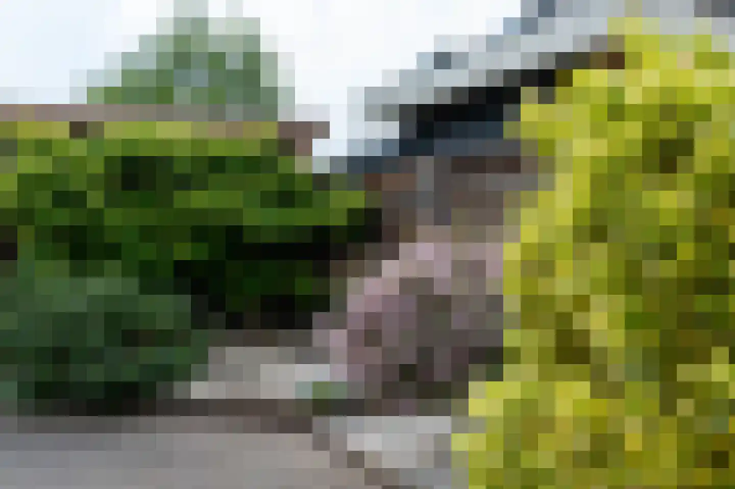 Kerkhoek 8 Ouddorp thumbnail 45