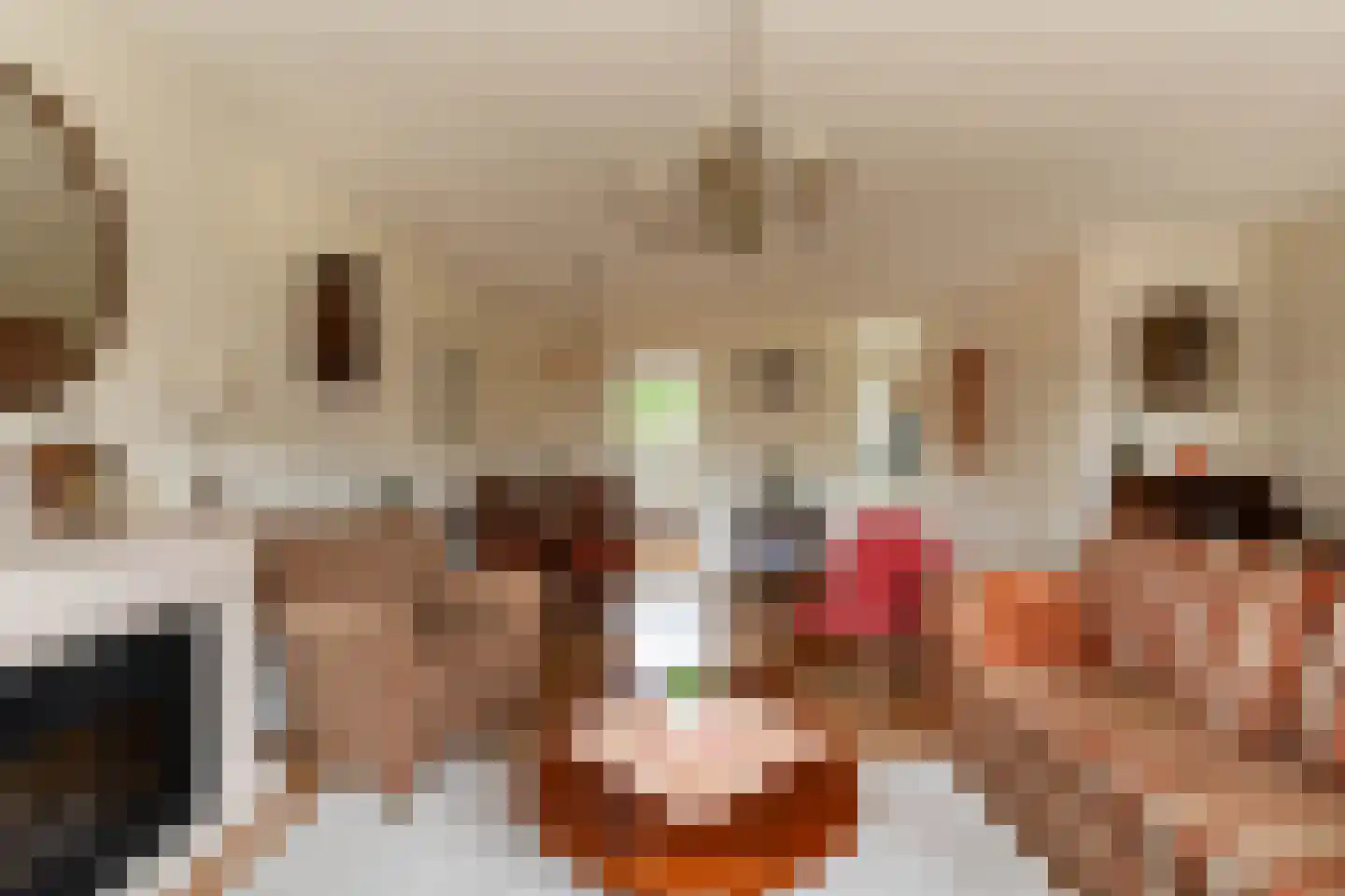 Kerkhoek 8 Ouddorp thumbnail 9