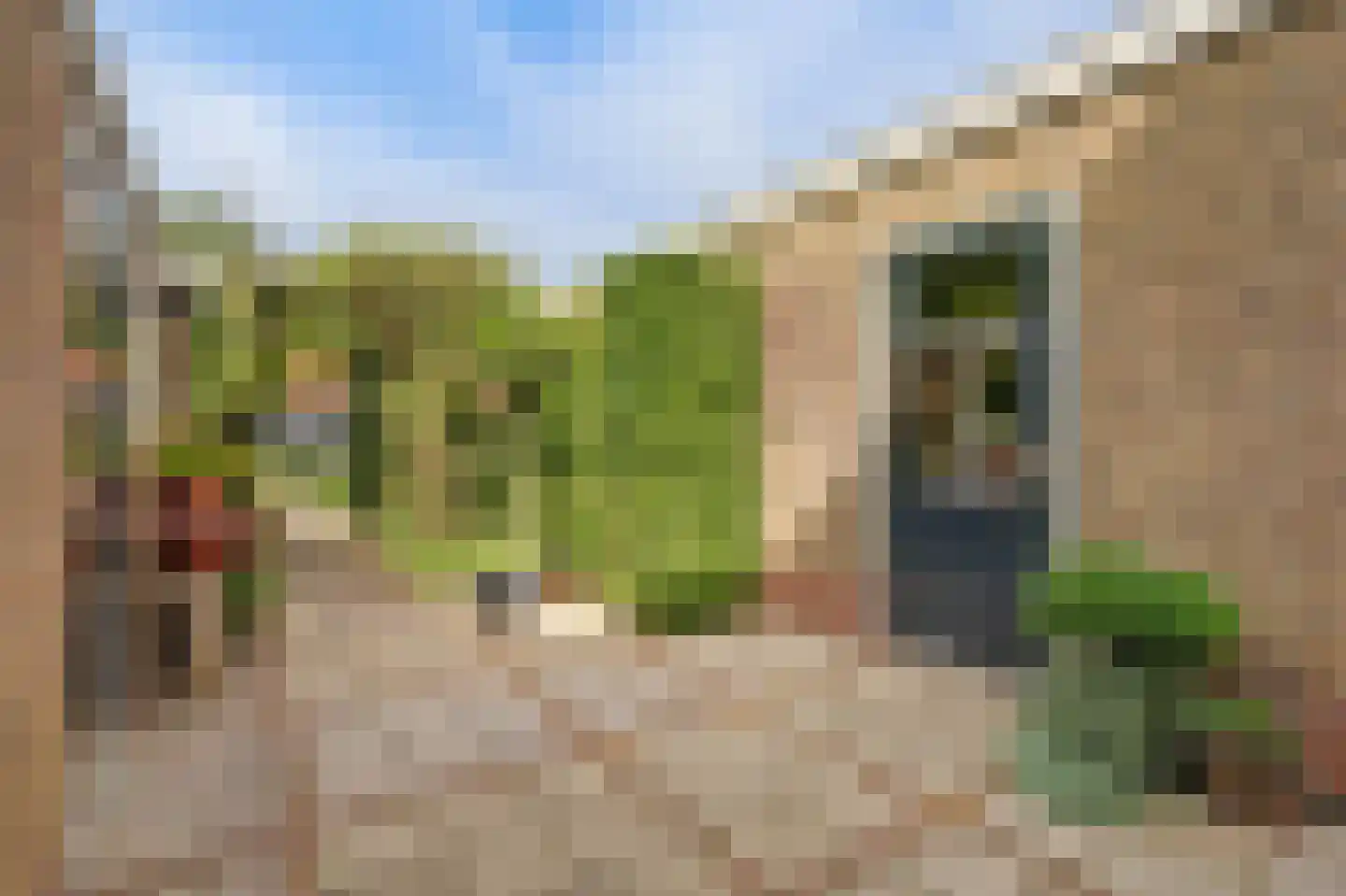 Kerkhoekstraat 41 's-Gravenpolder thumbnail 32