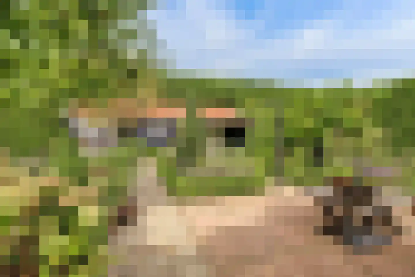 Kerkhoekstraat 41 's-Gravenpolder thumbnail 34