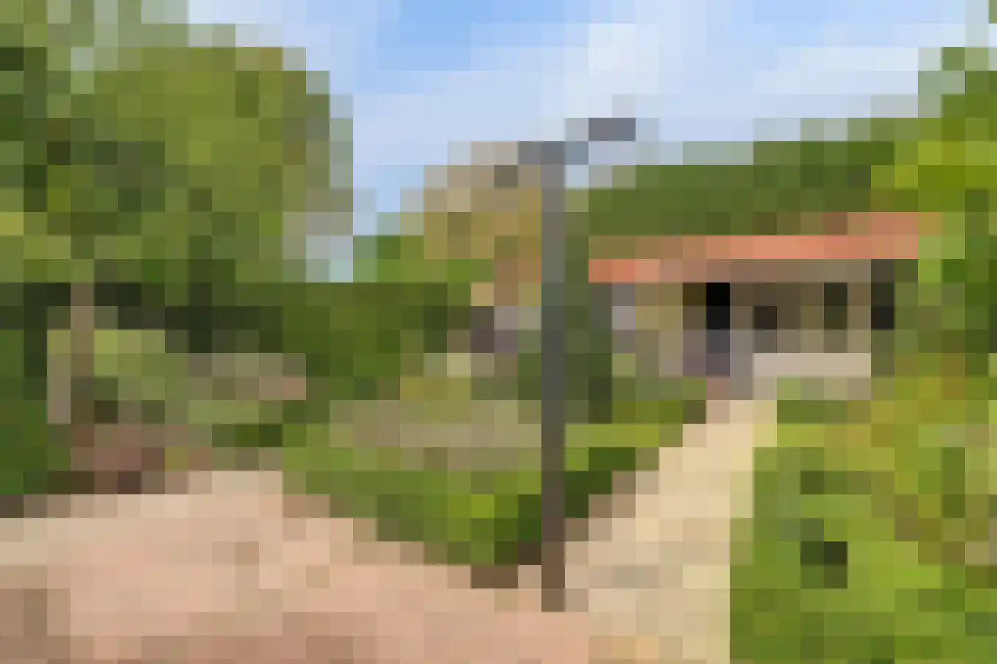 Kerkhoekstraat 41 's-Gravenpolder thumbnail 35
