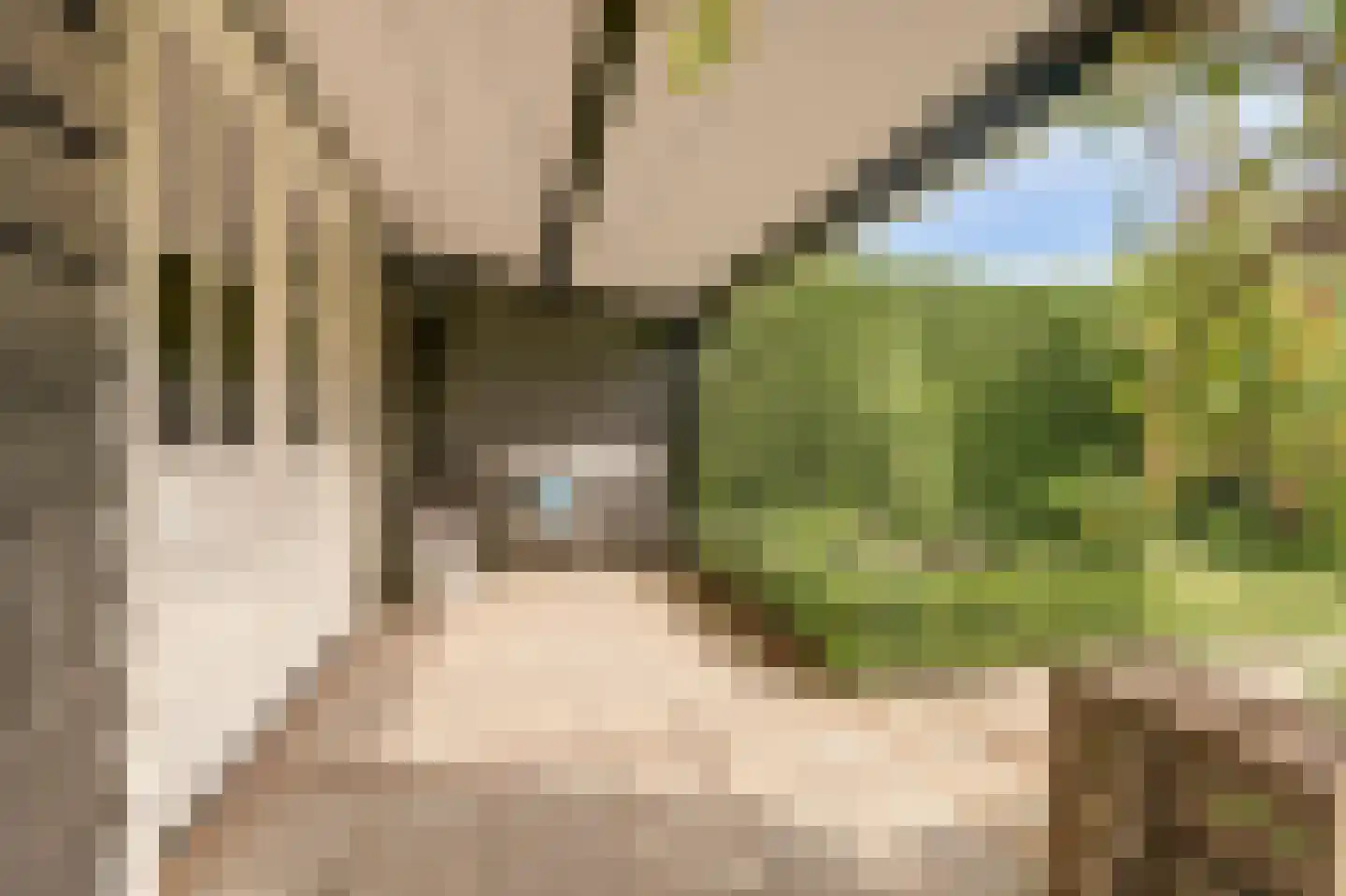 Kerkhoekstraat 41 's-Gravenpolder thumbnail 36