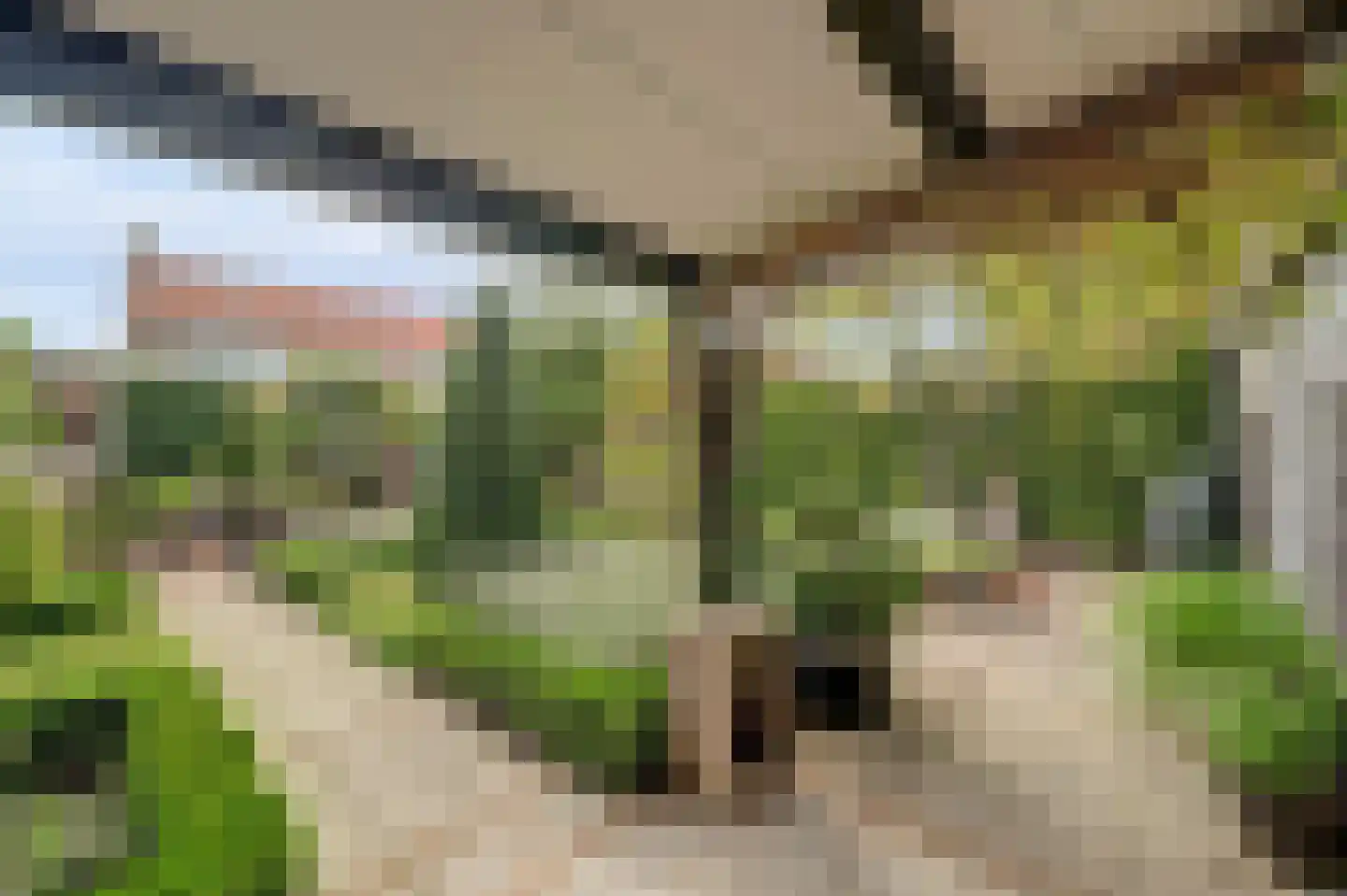 Kerkhoekstraat 41 's-Gravenpolder thumbnail 38