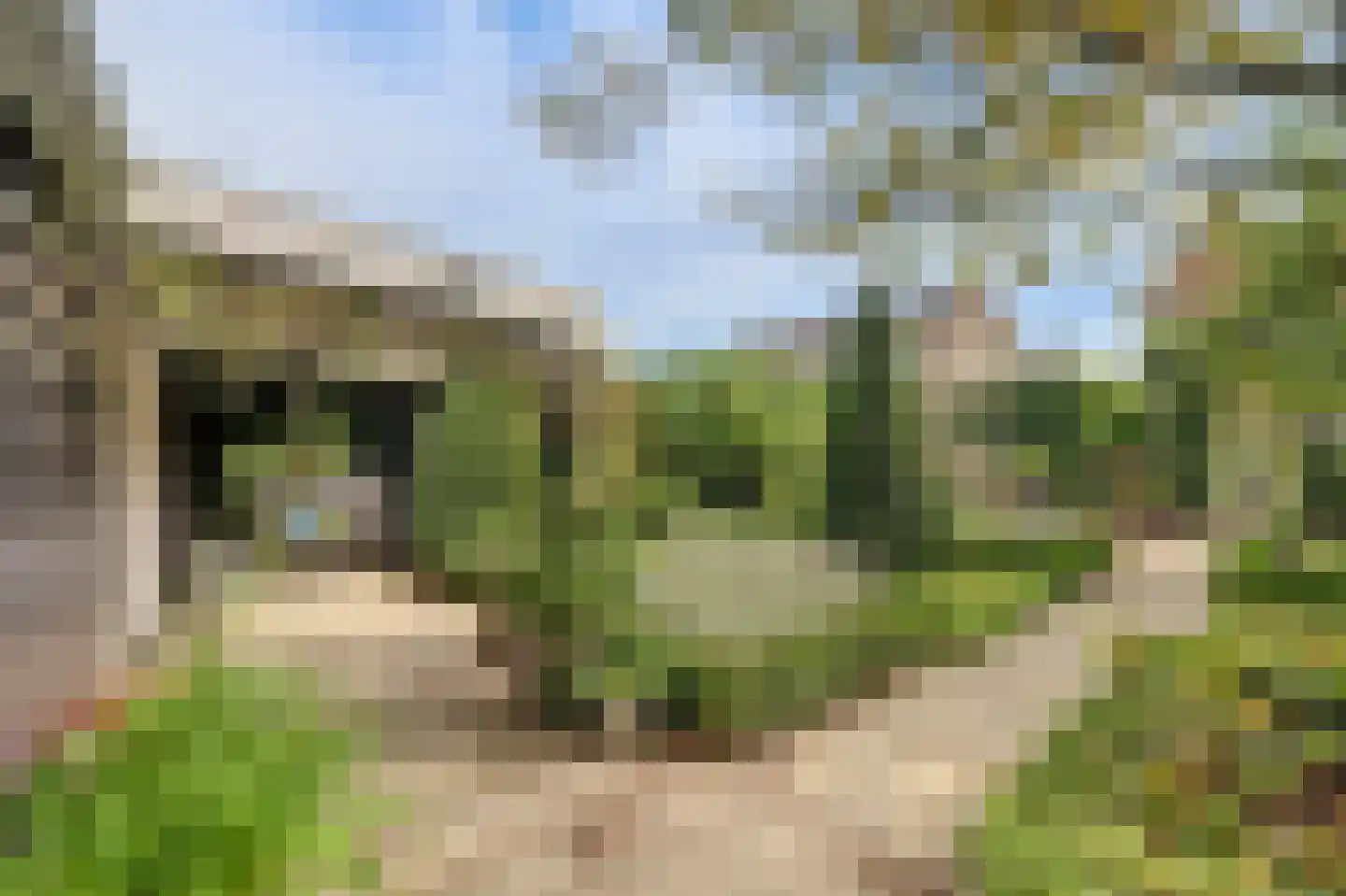 Kerkhoekstraat 41 's-Gravenpolder thumbnail 39