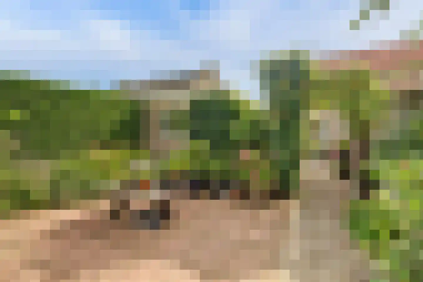 Kerkhoekstraat 41 's-Gravenpolder thumbnail 40