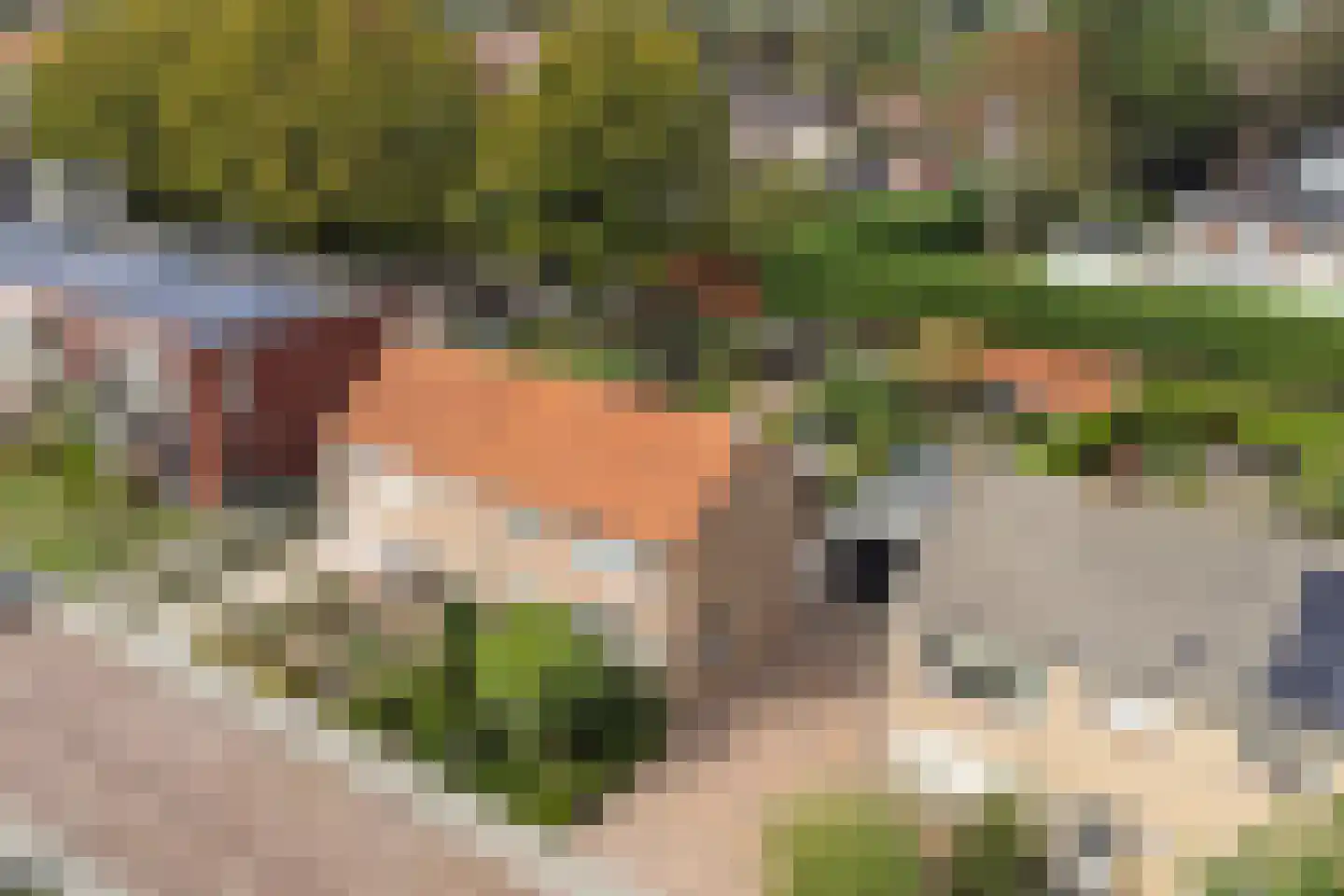 Kerkhoekstraat 41 's-Gravenpolder thumbnail 46