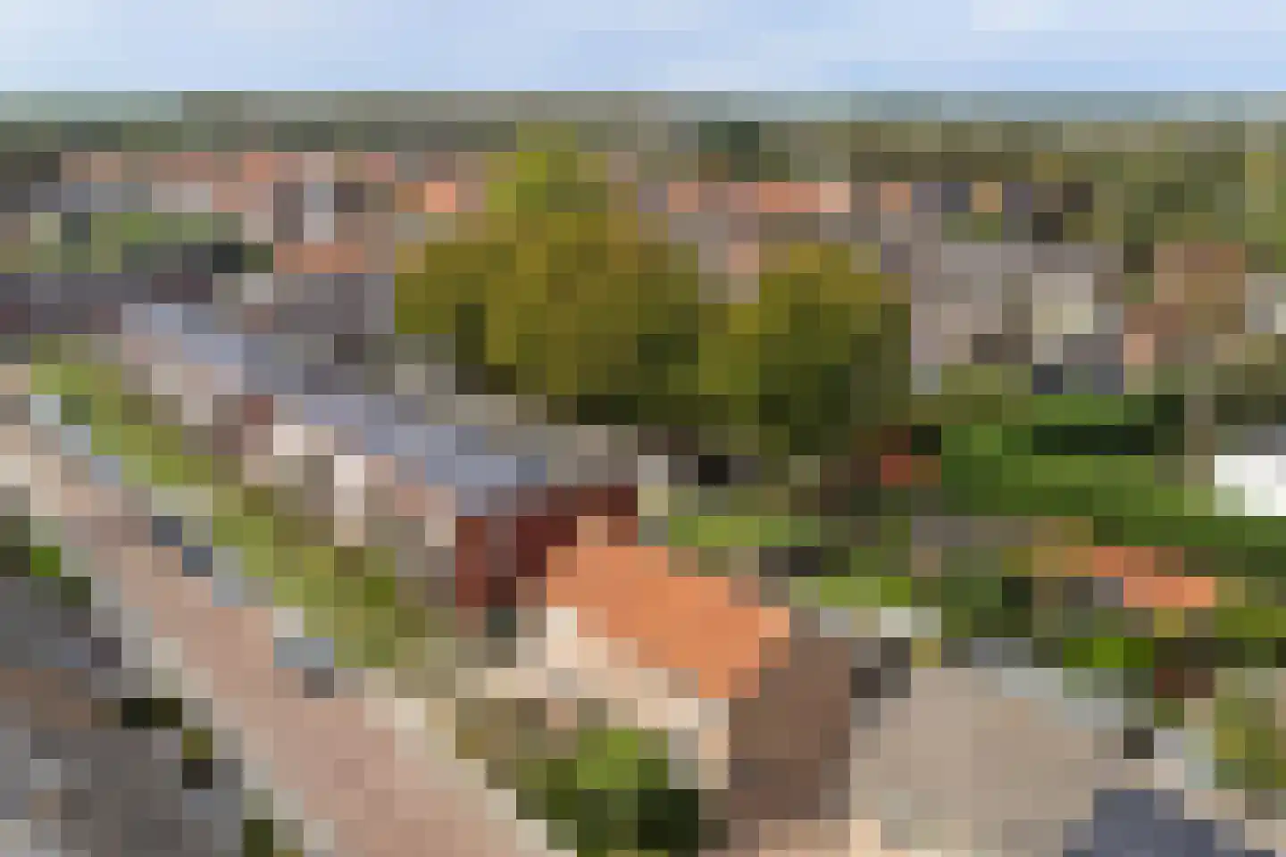 Kerkhoekstraat 41 's-Gravenpolder thumbnail 47
