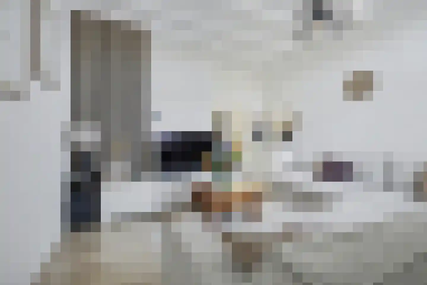 Kerkhof 20 Zierikzee thumbnail 11