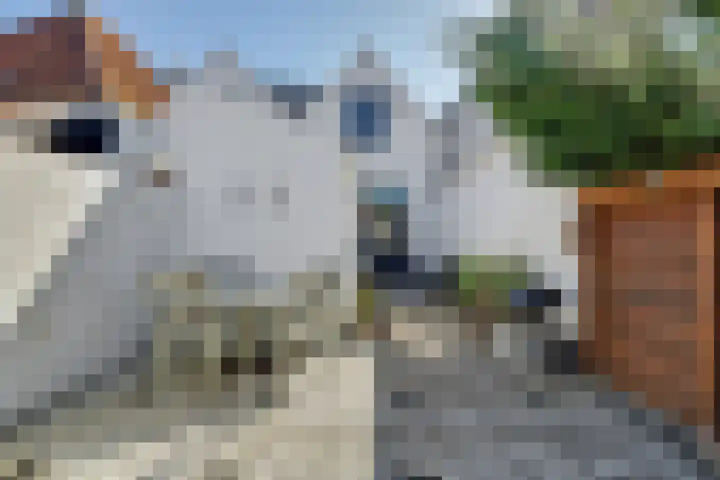 Kerkhof 20 Zierikzee thumbnail 20