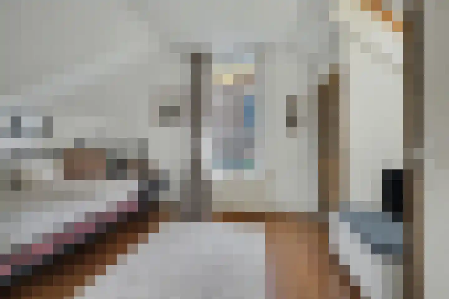 Kerkhof 20 Zierikzee thumbnail 29