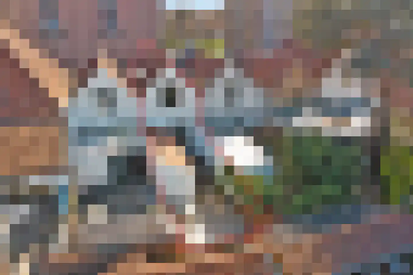 Kerkhof 20 Zierikzee thumbnail 30