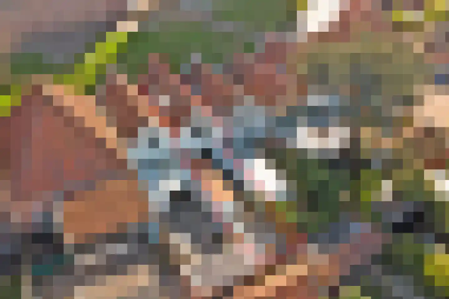 Kerkhof 20 Zierikzee thumbnail 5