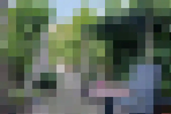 Kerkhoflaan 10 Sneek thumbnail 30