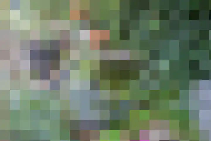 Kerkhoflaan 10 Sneek thumbnail 31