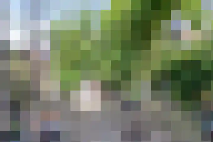 Kerkhoflaan 10 Sneek thumbnail 32
