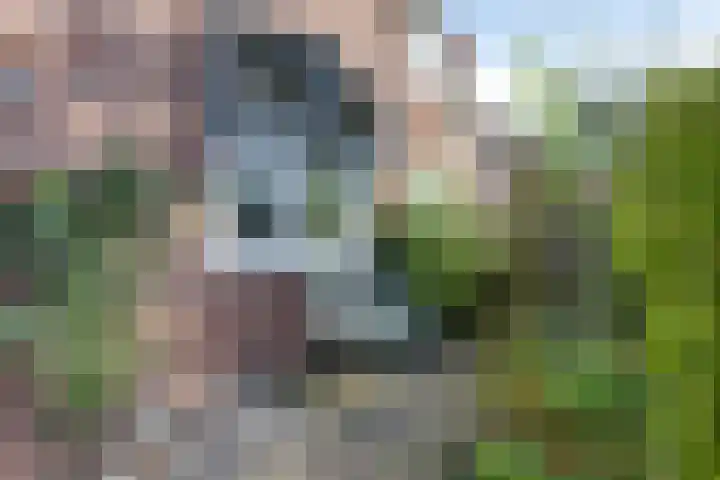Kerkhoflaan 10 Sneek thumbnail 37
