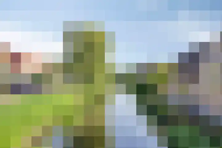 Kerkhoflaan 10 Sneek thumbnail 39