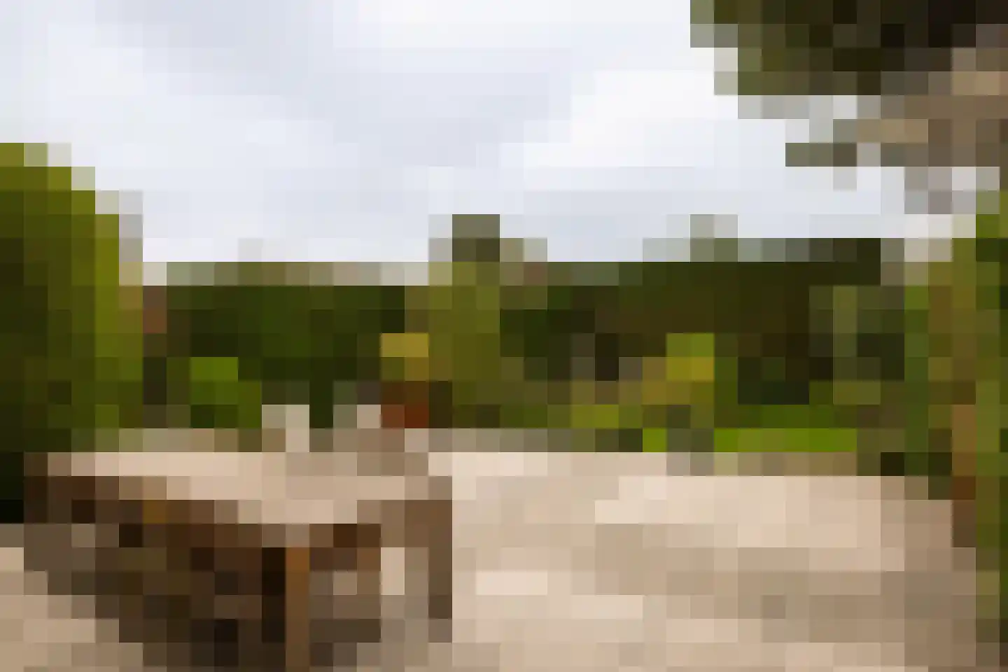 Kerkhoflaan 110 Zwanenburg thumbnail 24