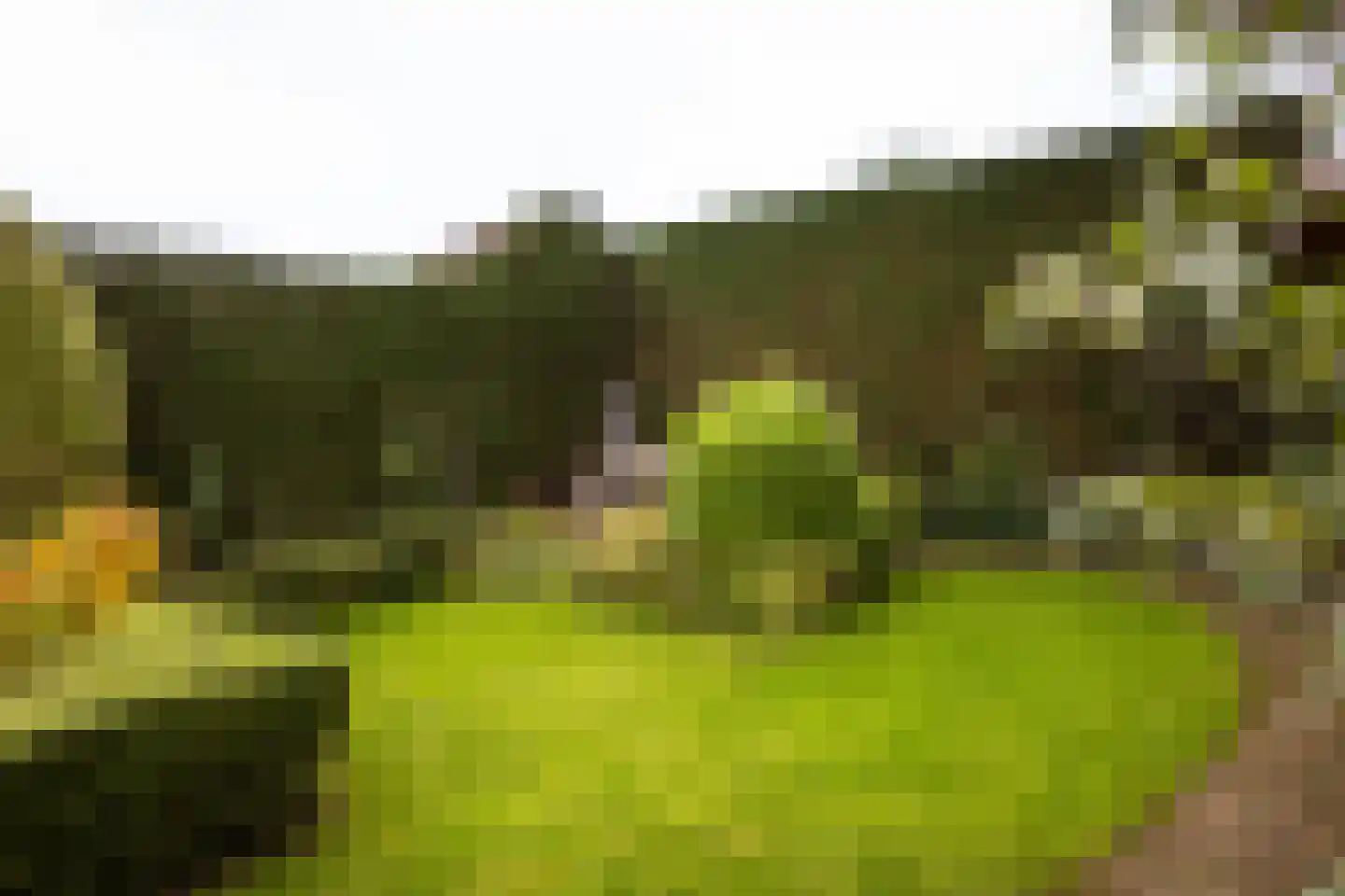 Kerkhoflaan 110 Zwanenburg thumbnail 25