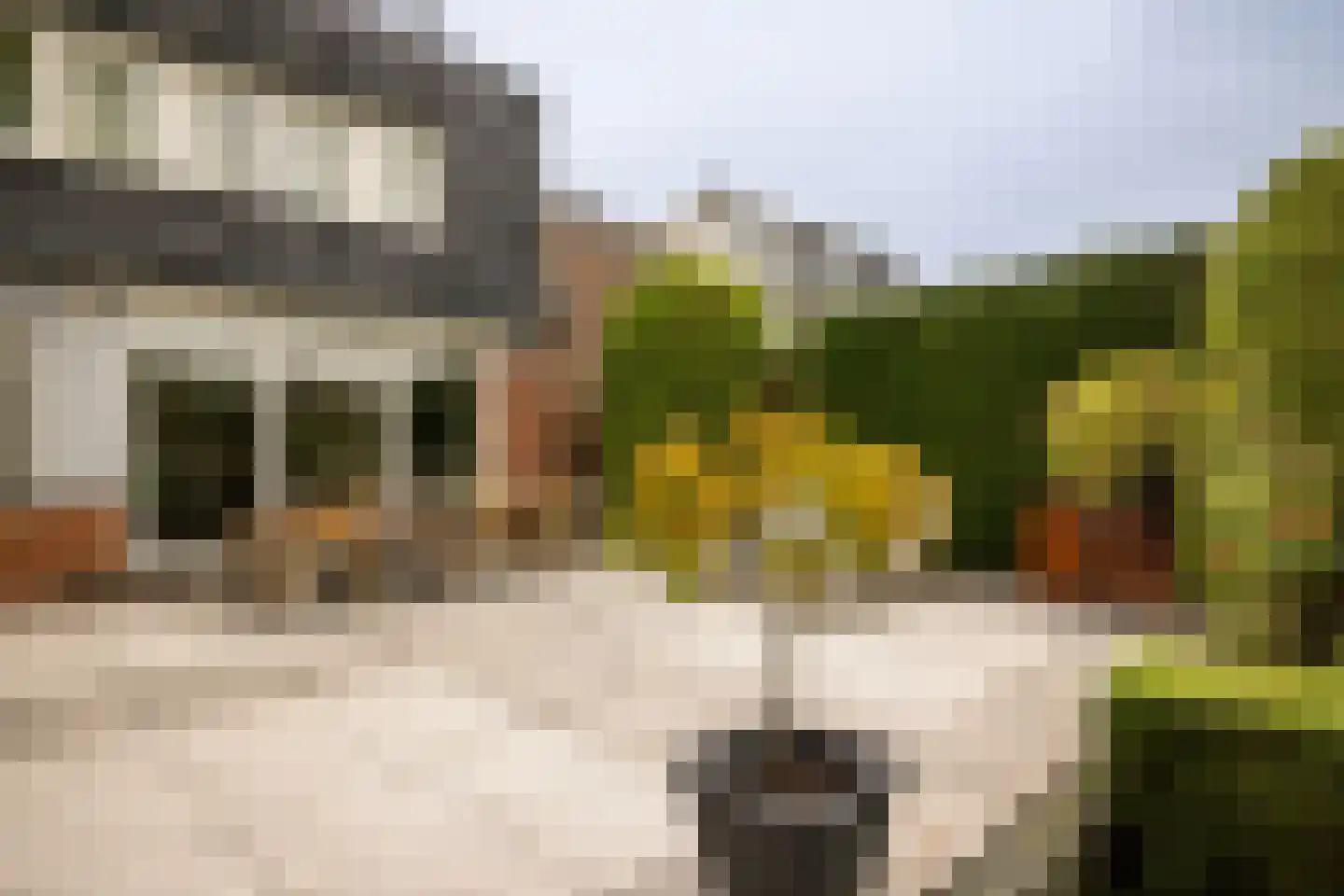Kerkhoflaan 110 Zwanenburg thumbnail 27