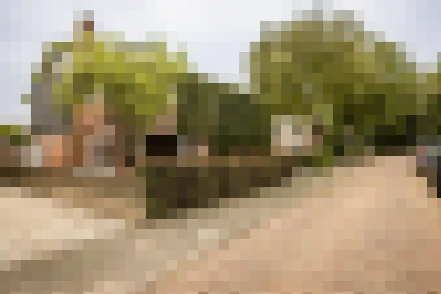 Kerkhoflaan 110 Zwanenburg thumbnail 48
