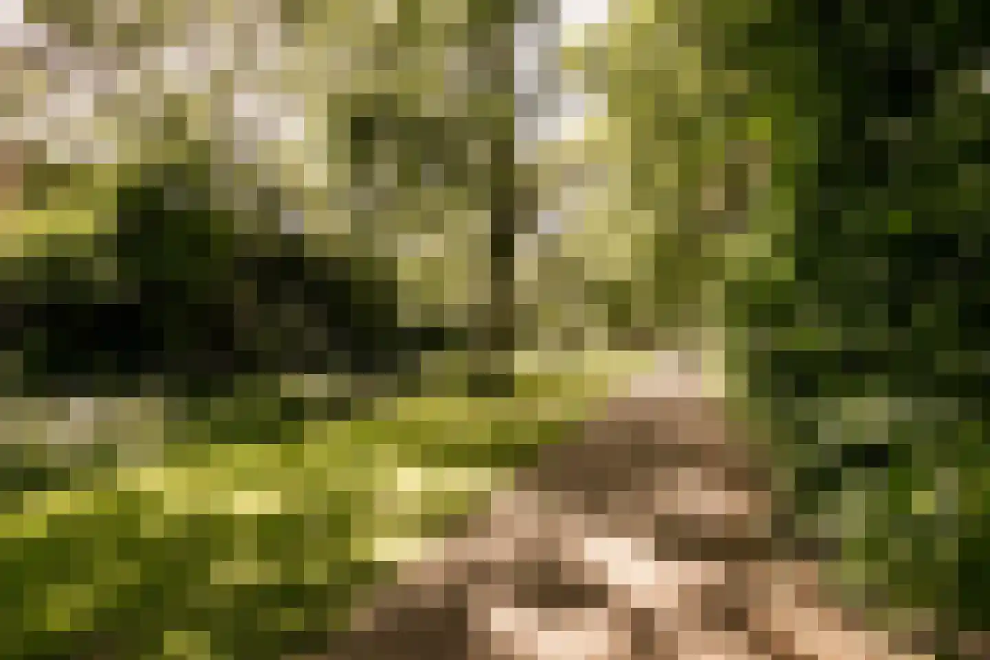 Kerkhoflaan 110 Zwanenburg thumbnail 49