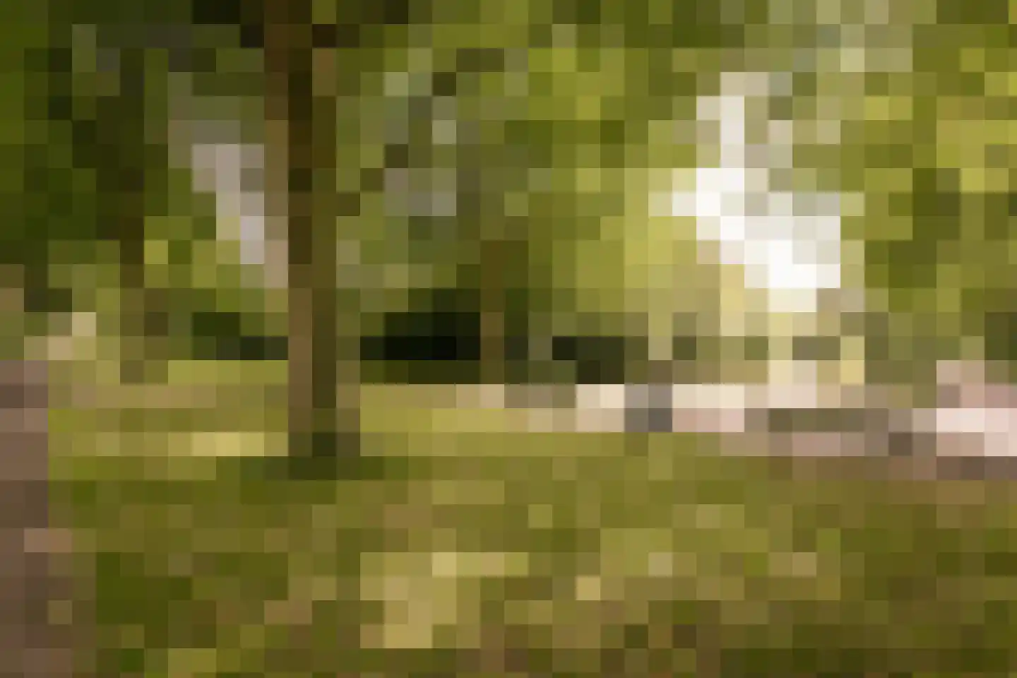 Kerkhoflaan 110 Zwanenburg thumbnail 50