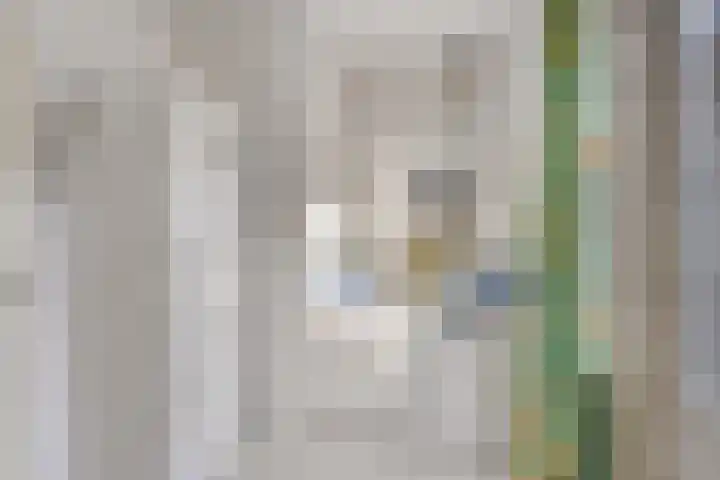 Kerkhoflaan 15 Lunteren thumbnail 14