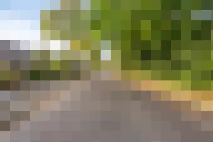 Kerkhoflaan 15 Lunteren thumbnail 44